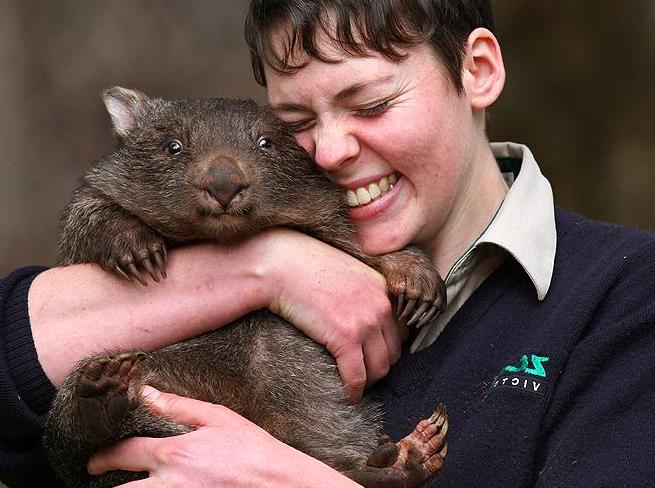 Discover the fauna at Healesville Sanctuary