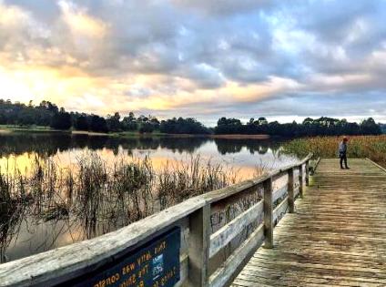 Exploring Activities at Lilydale Lake