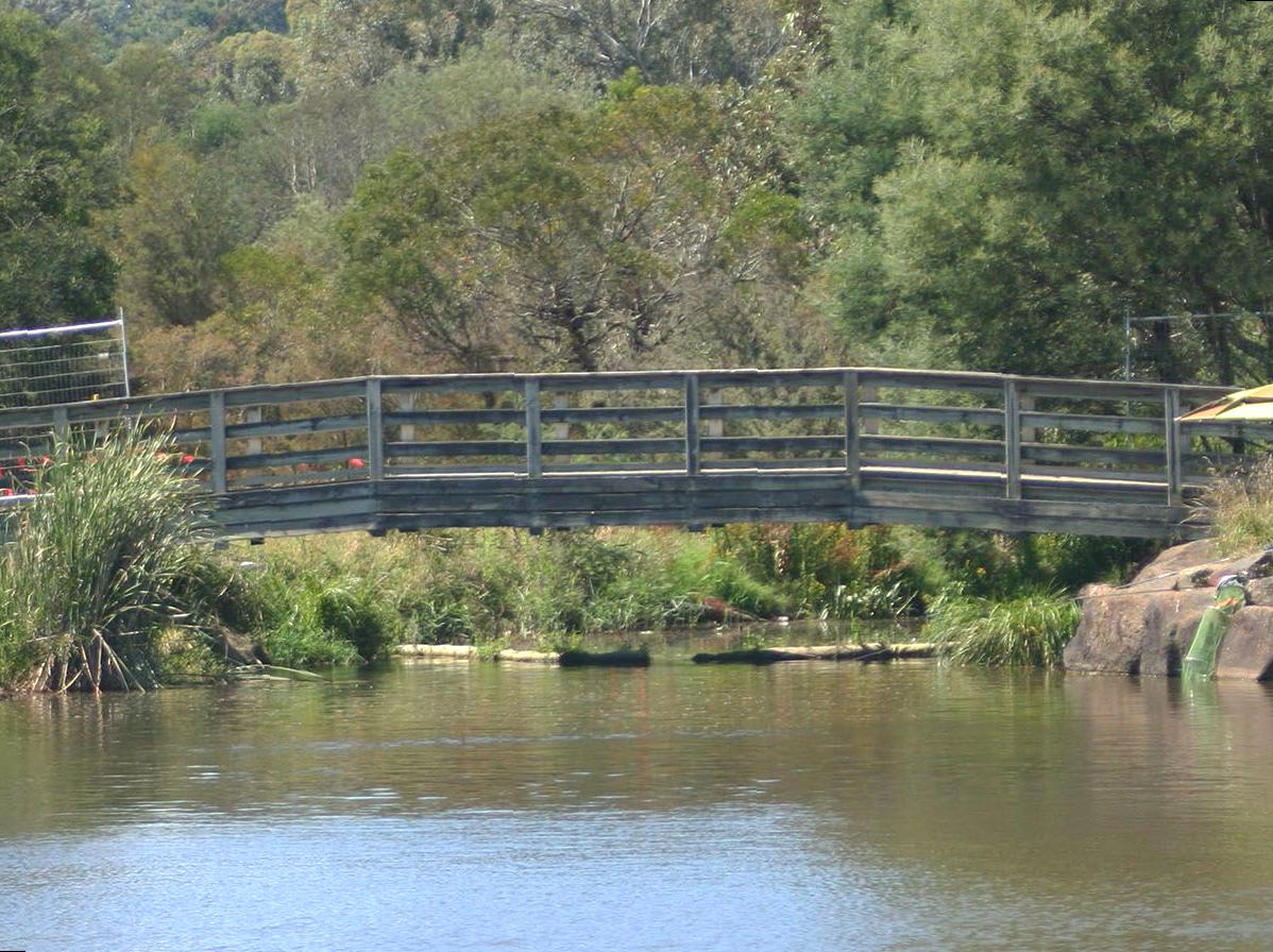 Enjoying Nature at Lilydale Lake