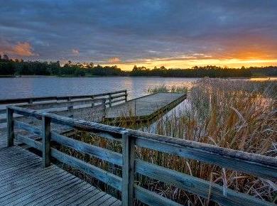 Outdoor Experiences at Lilydale Lake