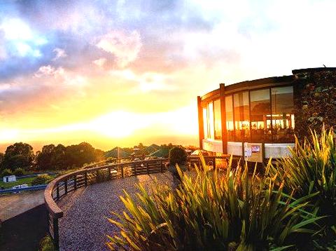 Majestic landscapes seen from SkyHigh Mount Dandenong