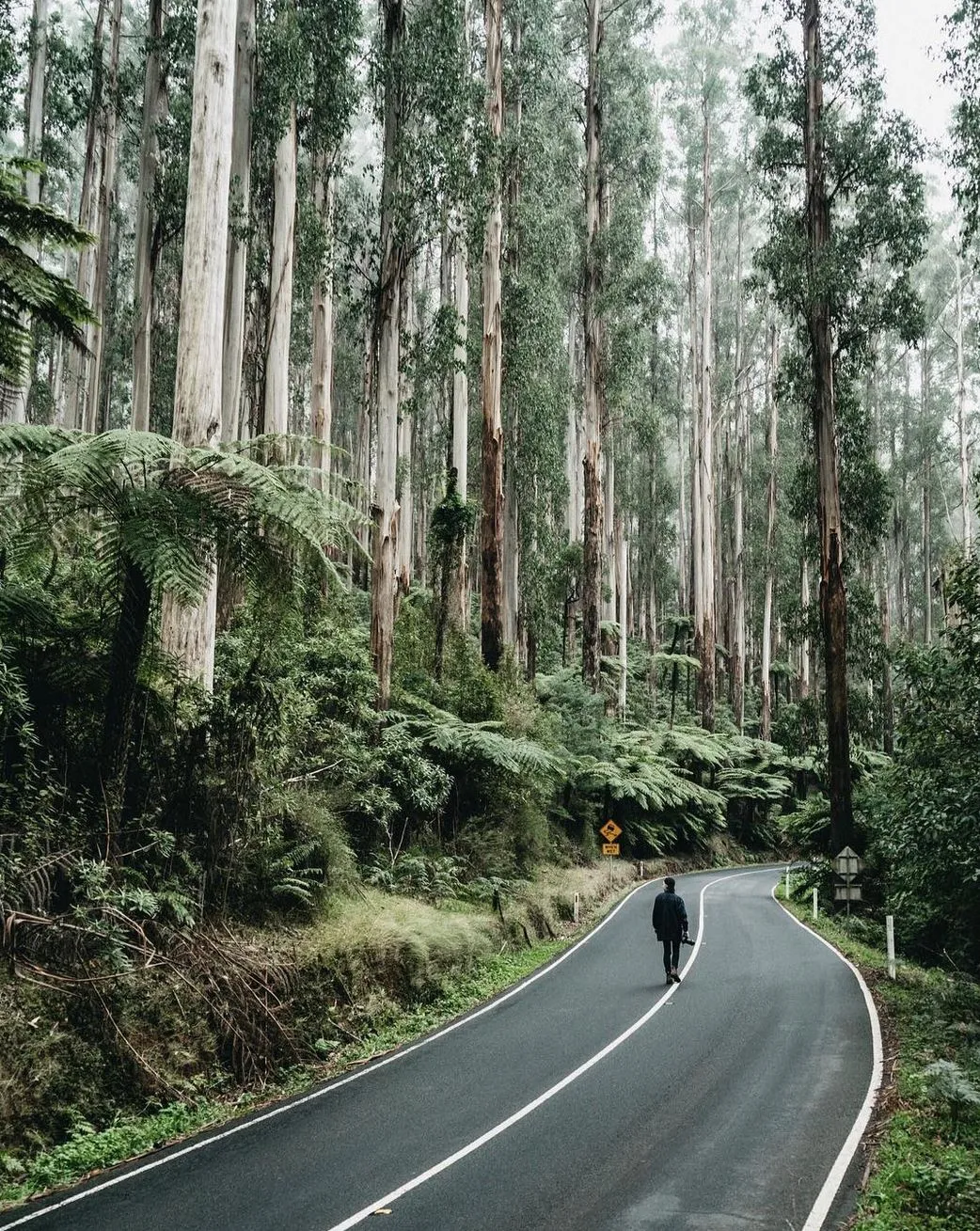 Maroondah Highway