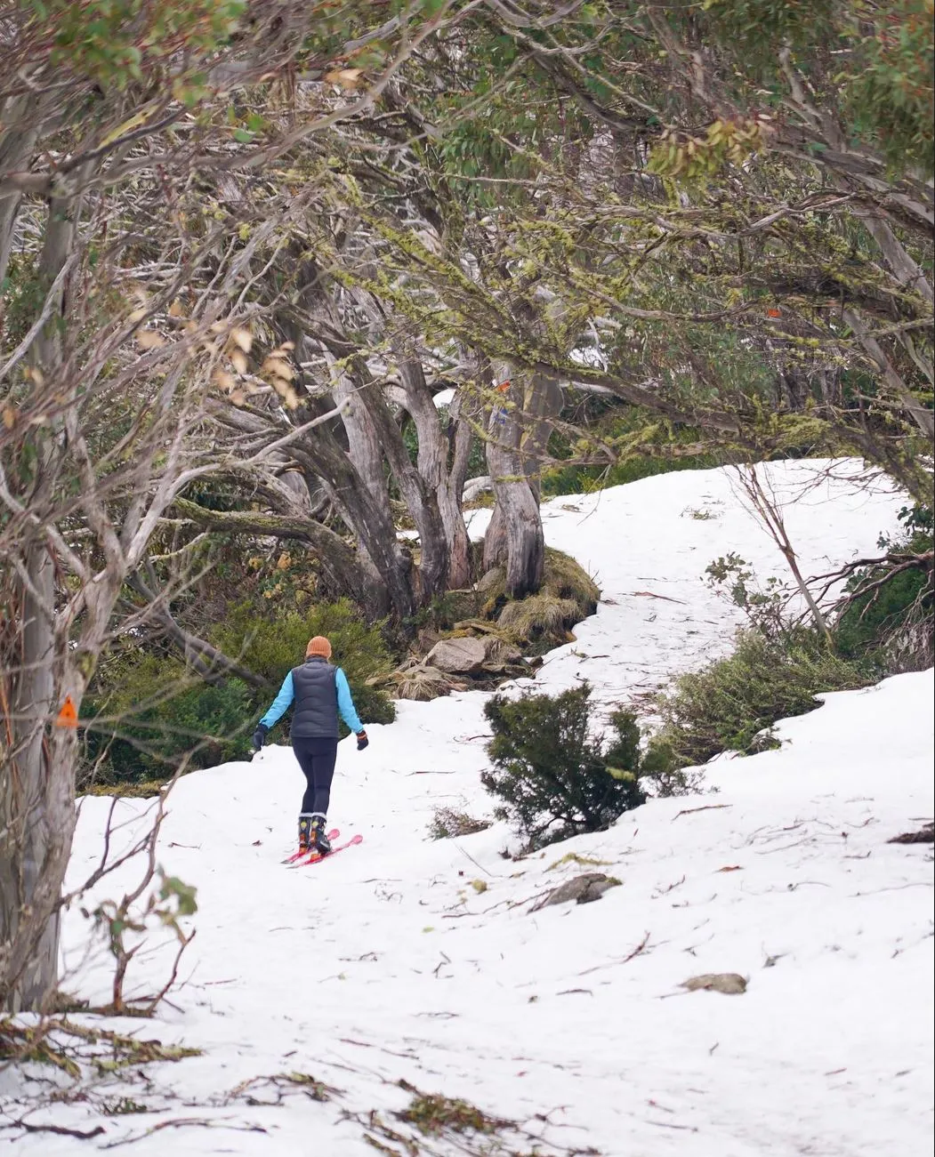 Mount Stirling