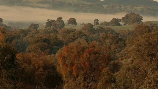 What Is the Nearest Town to Mount Buller