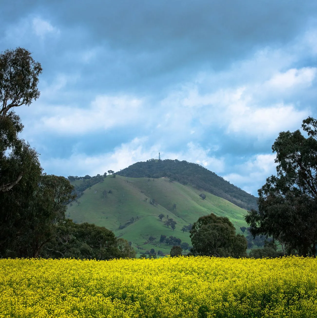 Why Mansfield Is the Gateway to Mount BullerWhy Mansfield Is the Gateway to Mount Buller